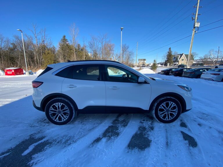 2022 ford escape se